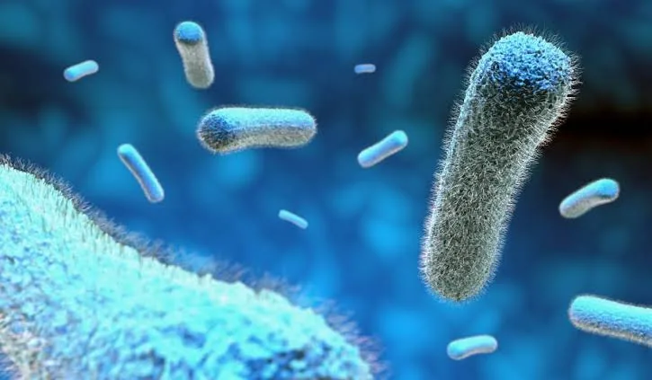 Bağırsaklarınız İmdat Çağrısı Mı Yapıyor? Eczane Raflarındaki 10 Probiyotiğin Gizli Şifreleri